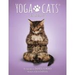 Yoga Cats Oracle