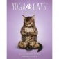 Yoga Cats Oracle 12