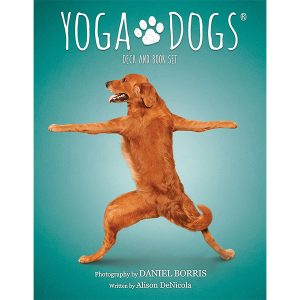Yoga Dogs Oracle 7