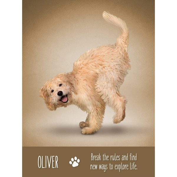 Yoga Dogs Oracle 5
