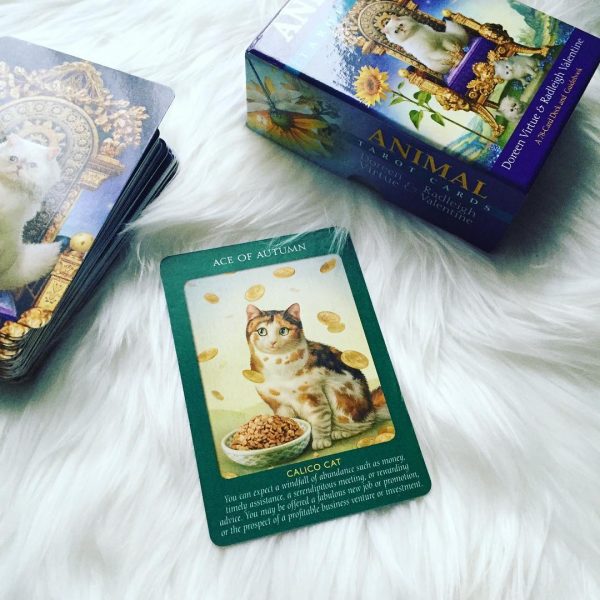 Animal Tarot Cards 5