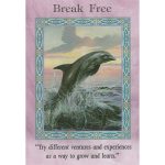Magical Mermaids and Dolphins Oracle Cards 6