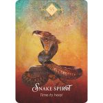 Spirit Animal Oracle 11