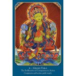 Buddha Wisdom, Shakti Power 5