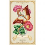 Enchanted Blossoms Empowerment Oracle 4