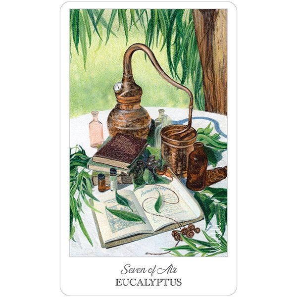 Herbcrafters Tarot 4