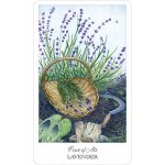Herbcrafters Tarot 5