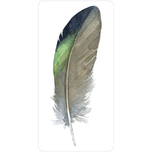 Divine Feather Messenger 9