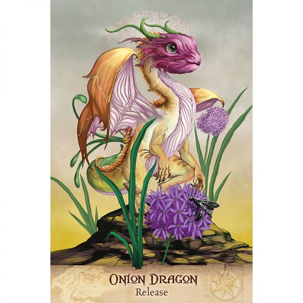 Field Guide To Garden Dragons 5