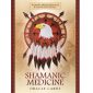 Shamanic Medicine Oracle Cards 9