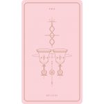Soul Cards Tarot Pink Edition 9