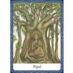 Wisdom of Trees Oracle 6
