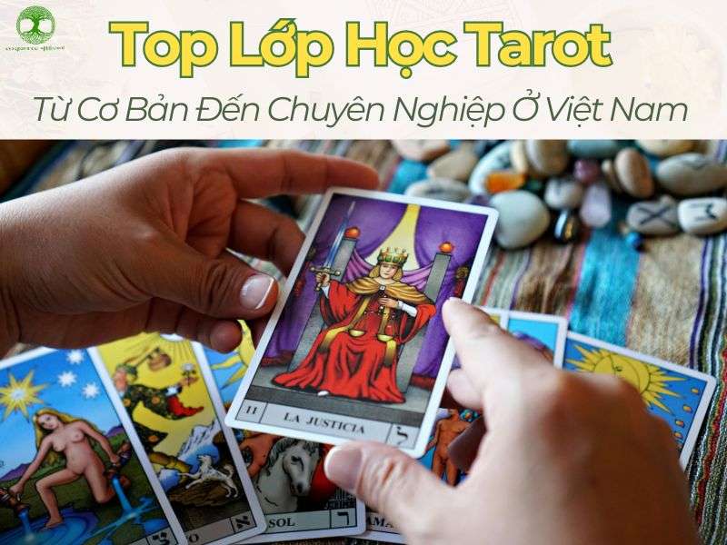 Top lớp học tarot từ cơ bản đến chuyên nghiệp