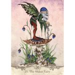 Fairy Wisdom Oracle 5