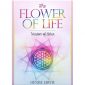 Flower of Life Cards 3