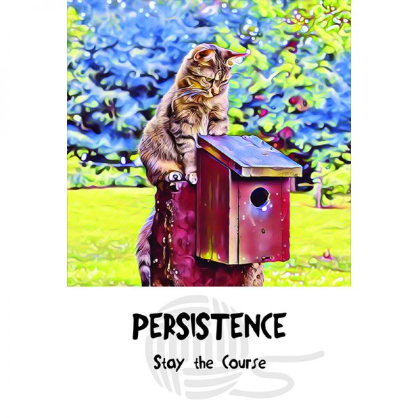 Cosmic Cat Wisdom Cards 4