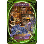 Witches Kitchen Oracle Cards 11
