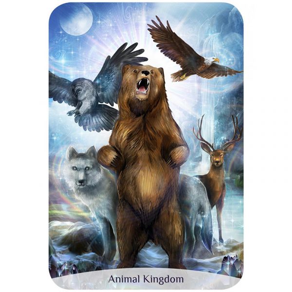 Sacred Power Reading Cards 4