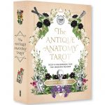 Antique Anatomy Tarot 2