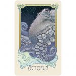 Dreamscape Oracle 3