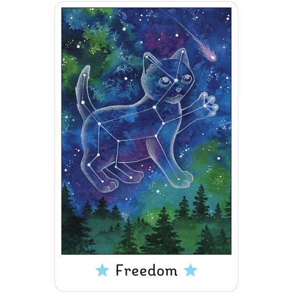 Affirmations of the Fairy Cats Deck 8
