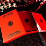 Red Hand Lenormand 17