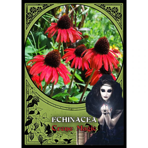 Flower Magic Oracle Cards 2