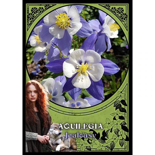 Flower Magic Oracle Cards 3