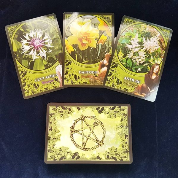 Flower Magic Oracle Cards 6