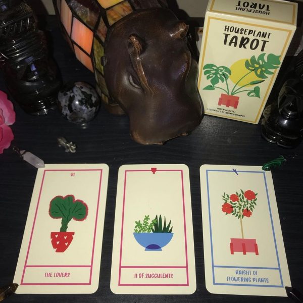 Houseplant Tarot 11