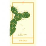 Houseplant Tarot 3