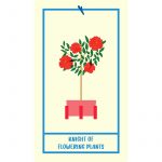 Houseplant Tarot 7
