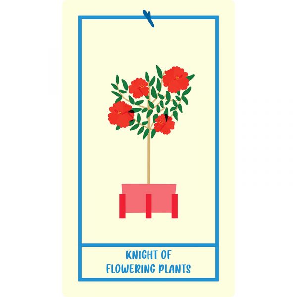 Houseplant Tarot 7