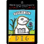 Prairie Majesty Oracle 4