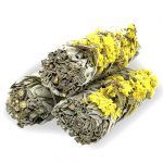 Xô Thơm Trắng Sinuata Vàng – White Sage Mix Yellow Sinuata (Bó 10-12 cm) 1