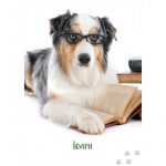 Dog Wisdom Cards 10
