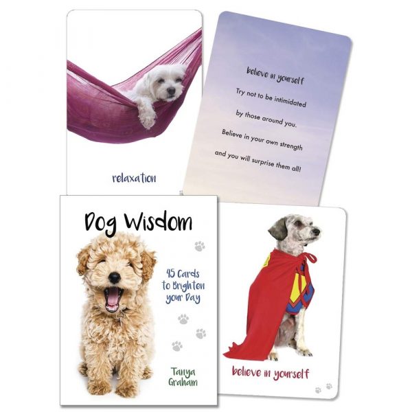 Dog Wisdom Cards 14