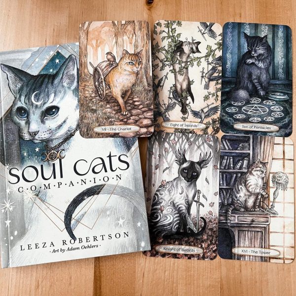 Soul Cats Tarot 16