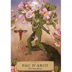Herbal Astrology Oracle 4