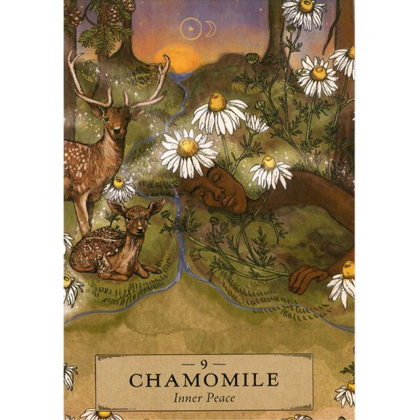 Herbal Astrology Oracle 8