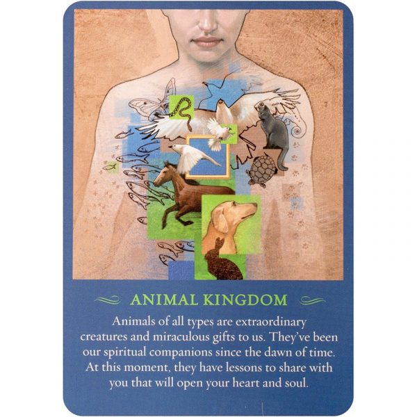 Spirit Messages Daily Guidance Oracle 5