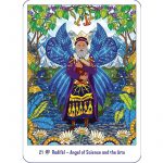 Amazonian Angel Oracle 7