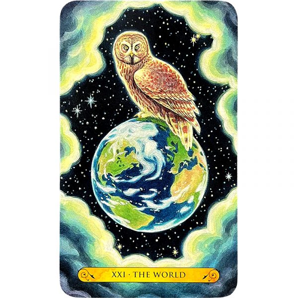 Tarot of the Owls 3