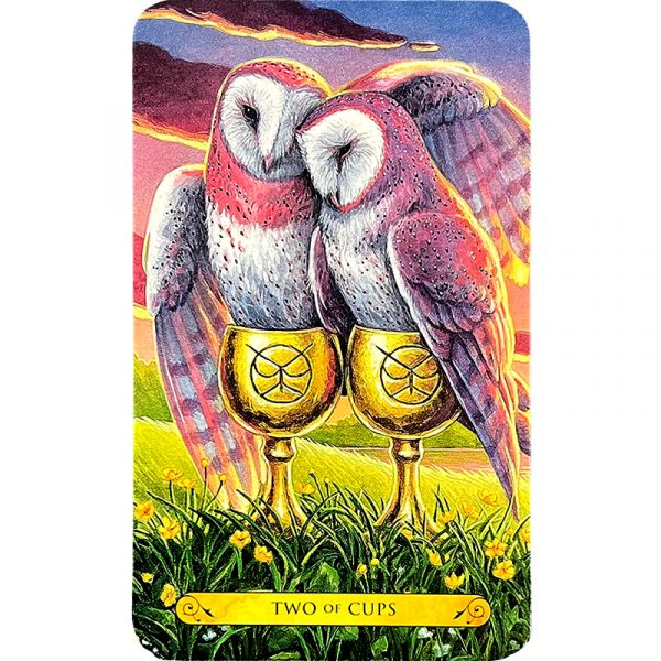 Tarot of the Owls 4