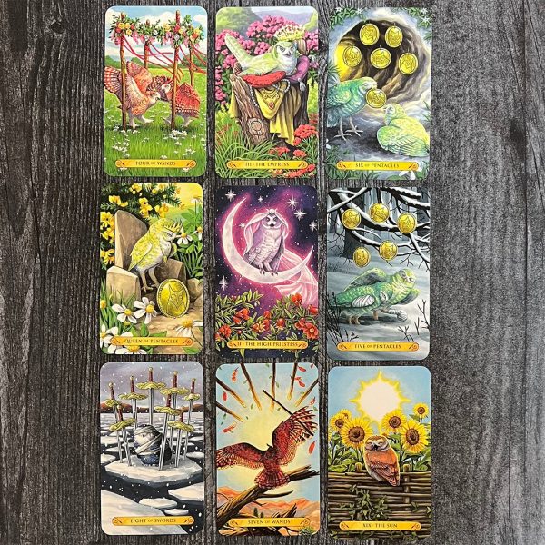 Tarot of the Owls 5