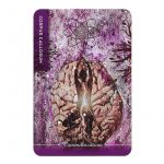 Body Cards 4