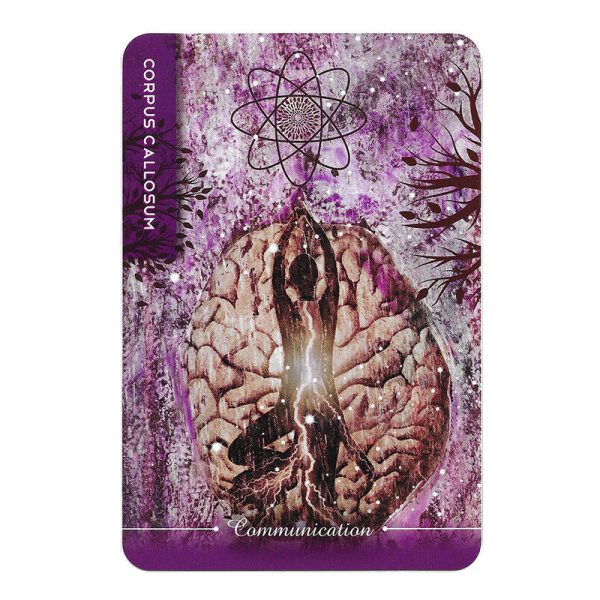 Body Cards 4