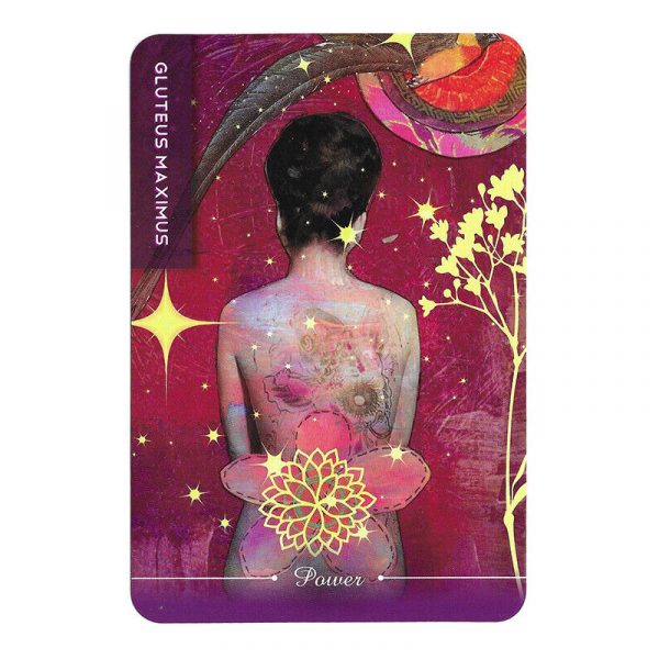 Body Cards 8