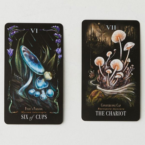 Midnight Magic Tarot of Mushrooms 13