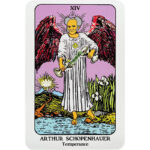 Philosophers Tarot 6
